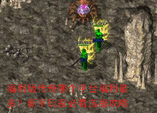 �����洫���ĸ�ƽ̨������ࣿ������ұؿ�ѡ������