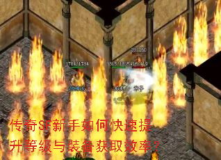 ����SF������ο��������ȼ���װ����ȡЧ�ʣ�