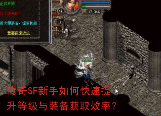 ����SF������ο��������ȼ���װ����ȡЧ�ʣ�
