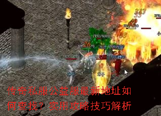 ����˽����������µ�ַ��β��ң�ʵ�ù��Լ��ɽ���