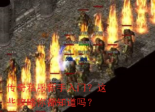 ����˽���������ţ���Щ�����㶼֪����