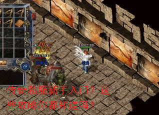 ����˽���������ţ���Щ�����㶼֪����