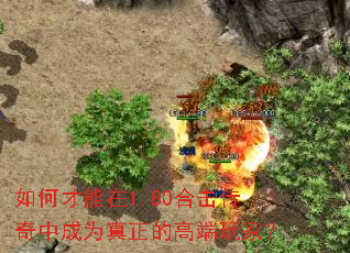 ��β�����1.80�ϻ������г�Ϊ�����ĸ߶���ң�