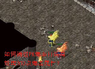 ���ͨ��PK���ʴ�����Ч����3�㱬�����ԣ�