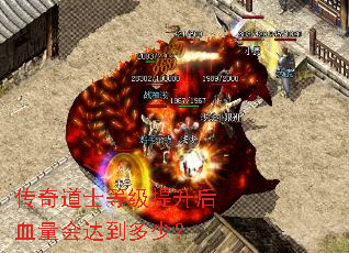 �����ʿ�ȼ�������Ѫ����ﵽ���٣�