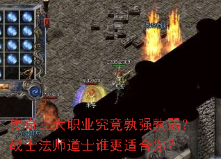 ��������ְҵ������ǿ������սʿ��ʦ��ʿ˭���ʺ��㣿