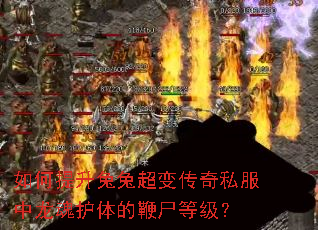 ����������ó��䴫��˽�������껤��ı�ʬ�ȼ���