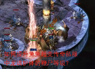 ����������ó��䴫��˽�������껤��ı�ʬ�ȼ���