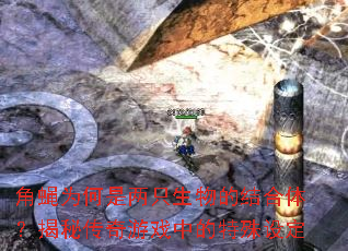 ��ӬΪ������ֻ����Ľ���壿���ش�����Ϸ�е������趨