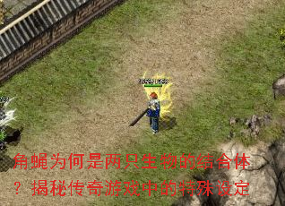 ��ӬΪ������ֻ����Ľ���壿���ش�����Ϸ�е������趨