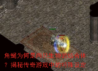 ��ӬΪ������ֻ����Ľ���壿���ش�����Ϸ�е������趨