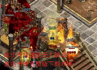 սʿ�����ٶ������ܼ������Ŵ������������ع���