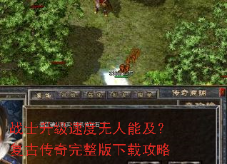 սʿ�����ٶ������ܼ������Ŵ������������ع���