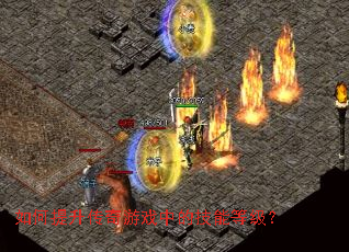 �������������Ϸ�еļ��ܵȼ���