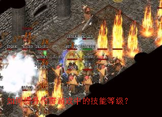 �������������Ϸ�еļ��ܵȼ���