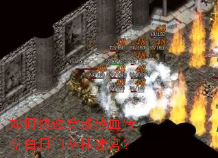 ��ο��ٴ�Խ��Ѫ��������Ŵ����Թ���