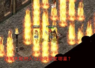 ��ħ������ھ����������