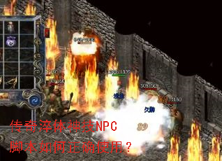 ���������NPC�ű������ȷʹ�ã�