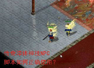 ���������NPC�ű������ȷʹ�ã�