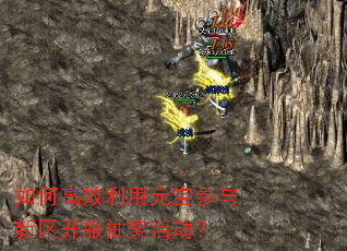 ��θ�Ч����Ԫ���������������齱���