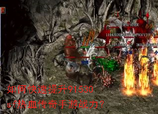 ��ο�������91530sf��Ѫ��������ս����