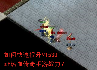 ��ο�������91530sf��Ѫ��������ս����
