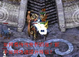 ��ο������滳�ɷ���������ο��������ȼ���