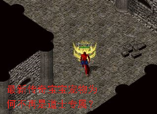 ���´��汦������Ϊ�β����ǵ�ʿר����