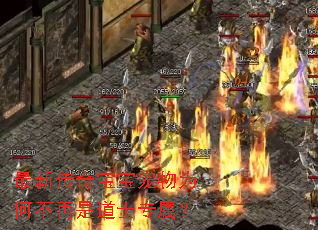 ���´��汦������Ϊ�β����ǵ�ʿר����