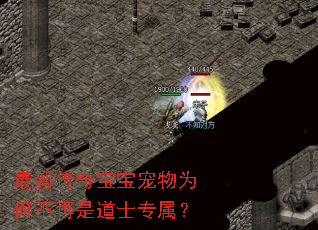 ���´��汦������Ϊ�β����ǵ�ʿר����