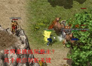 ��ε����������������ֽ�����ʤ�ؼ�