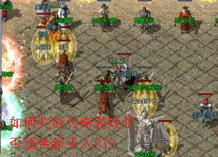 ����жϴ�����Ϸ�Ƿ��ʺ��������ţ�