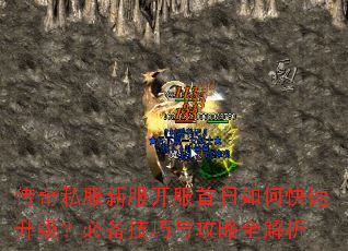 ����˽���·�����������ο����������ر������빥��ȫ����