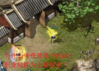 Ϊʲô������Ϸ�е�սʿְҵ����Ϊ����ְҵ��