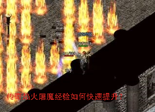 ���������ħ������ο���������