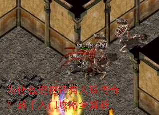 Ϊʲô���ڻ������洫�棿�������Ź���ȫ����