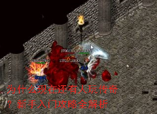 Ϊʲô���ڻ������洫�棿�������Ź���ȫ����