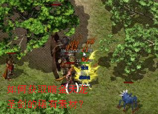 ��λ�ȡ��������ʥ����ϡ���زģ�