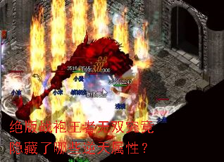 ����ս��������˫������������Щ�������ԣ�