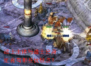 սʿ�������ʿ�����������Щ��ȱ�㣿