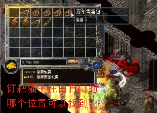 ����è���ڰ����ŵ��ĸ�λ�ÿ����ҵ���