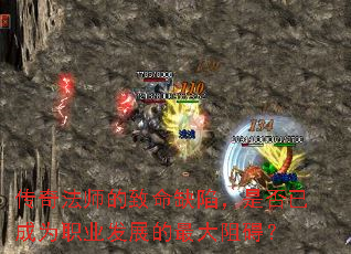 ���淨ʦ������ȱ�ݣ��Ƿ��ѳ�Ϊְҵ��չ������谭��