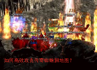 ��θ�Ч���˴���֩�붴��ͼ��