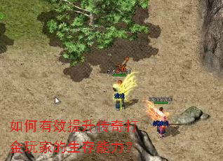 �����Ч������������ҵ�����������