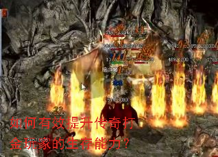 �����Ч������������ҵ�����������