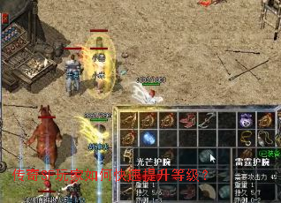 ����SF�����ο��������ȼ���