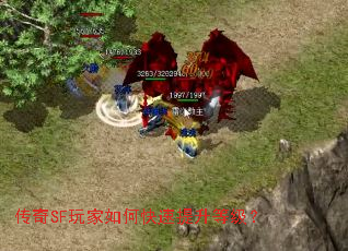 ����SF�����ο��������ȼ���