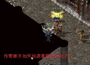 ����������ο��������Ա����ɣ�