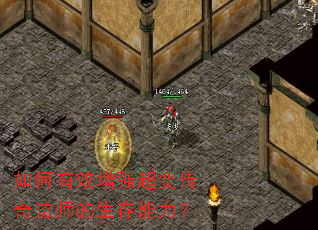 �����Ч��ǿ���䴫�淨ʦ������������