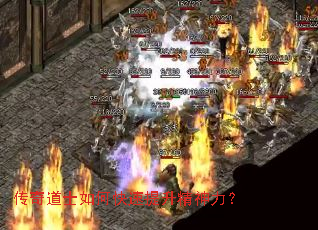 �����ʿ��ο���������������